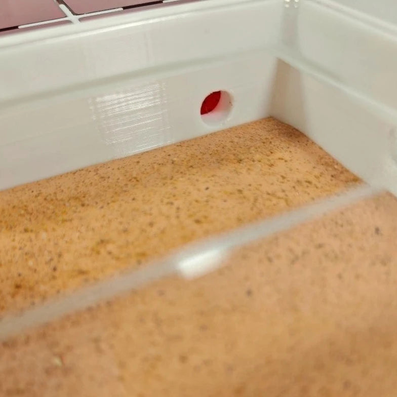 Independent cabin design of LP08 flat formicarium showing separated chambers