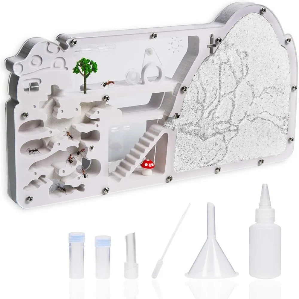 Escape-proof lid close-up on the ant colony observation kit