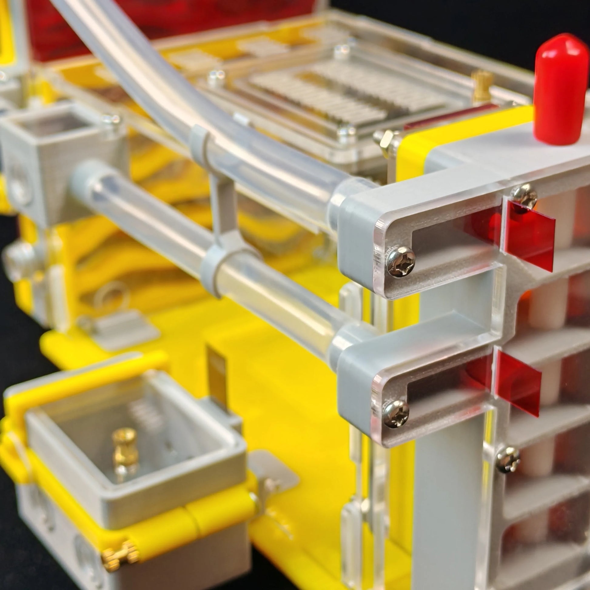 Acrylic insect cage for house ants with feeding corridor detail