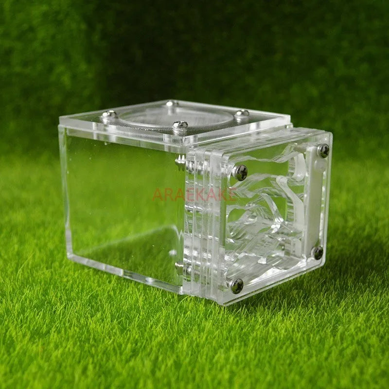 Top view of 3D-milled gallery channels inside the acrylic mini ant nest