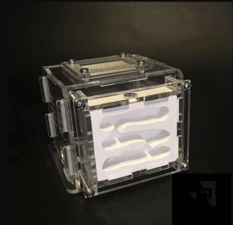 Three sizes of kids plaster ant farm: Small, Mid, and Big comparison