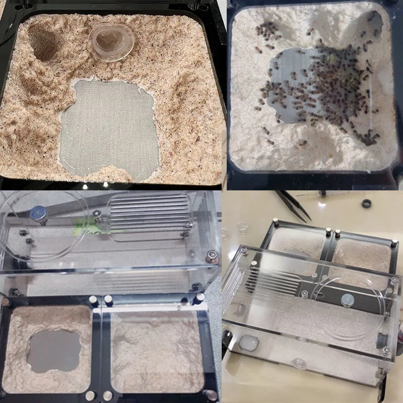 Multiple concrete ant farm modules chained together showing unlimited expansion configuration