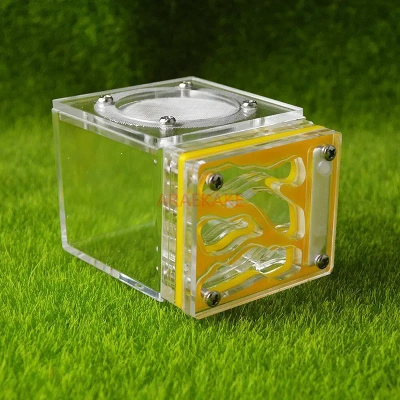 Acrylic Mini 3D Ant Nest, 5 Color Variants