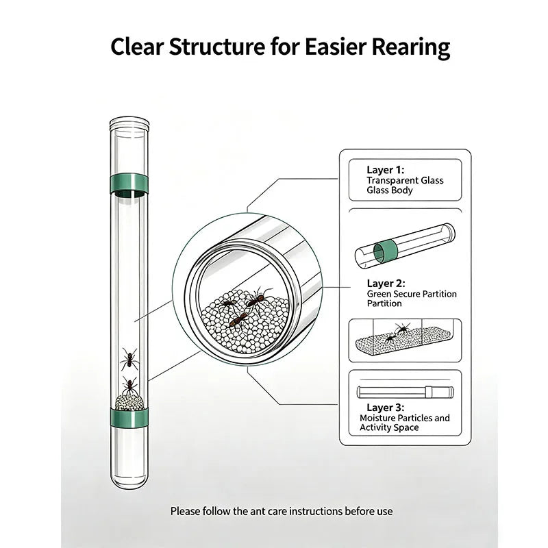 Gypsum Ant Nest Test Tube 15×150mm, 1 or 5 pack