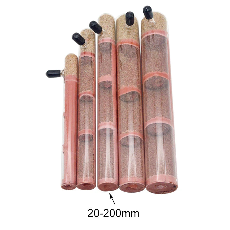 Modular bamboo test tube ant nest connected to feeding area for growing colony