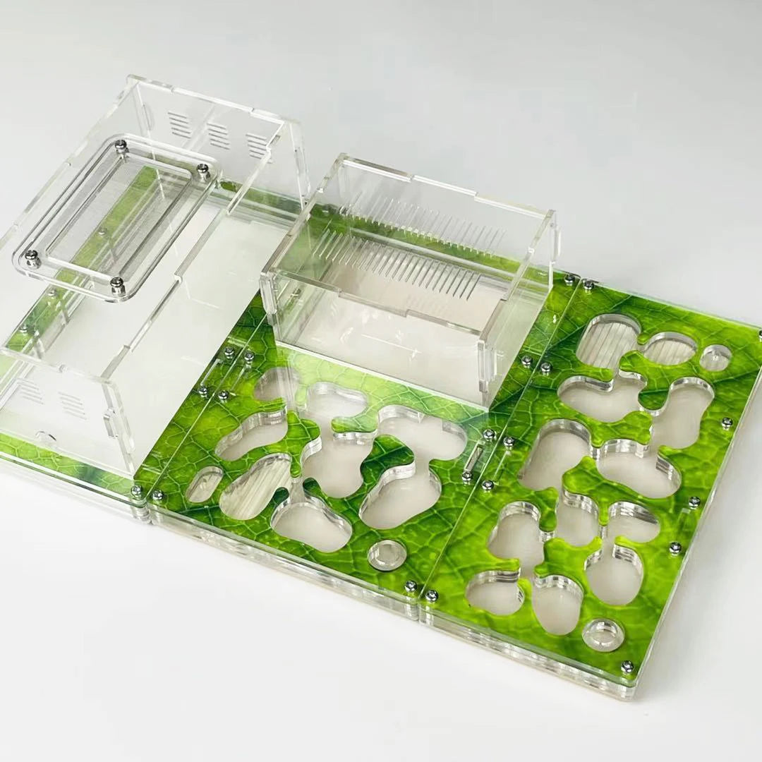 Concrete nesting zone of the modular ant farm formicarium showing moisture retention
