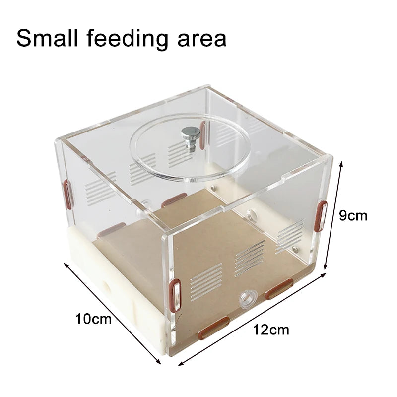 Modular Acrylic Ant Farm with Gypsum Nest + Water Tower