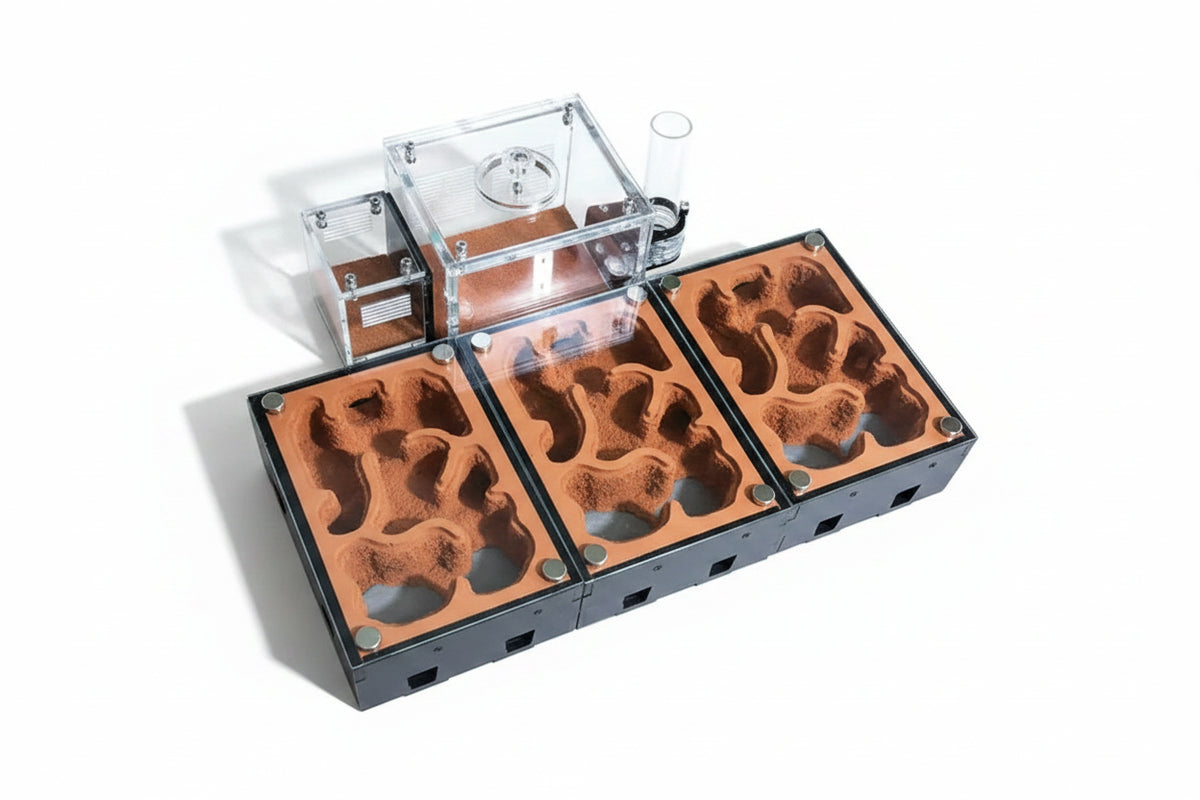 Three magnetic expansion ports on side of ant farm nest unit, 10 mm caliber