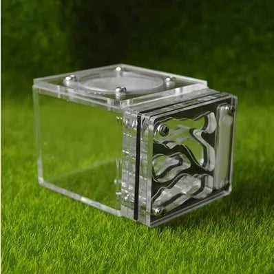 Acrylic Mini 3D Ant Nest, 5 Color Variants