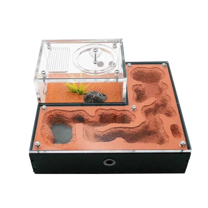 Red shading panels on gypsum ant farm mini CC covering nest area to reduce colony stress