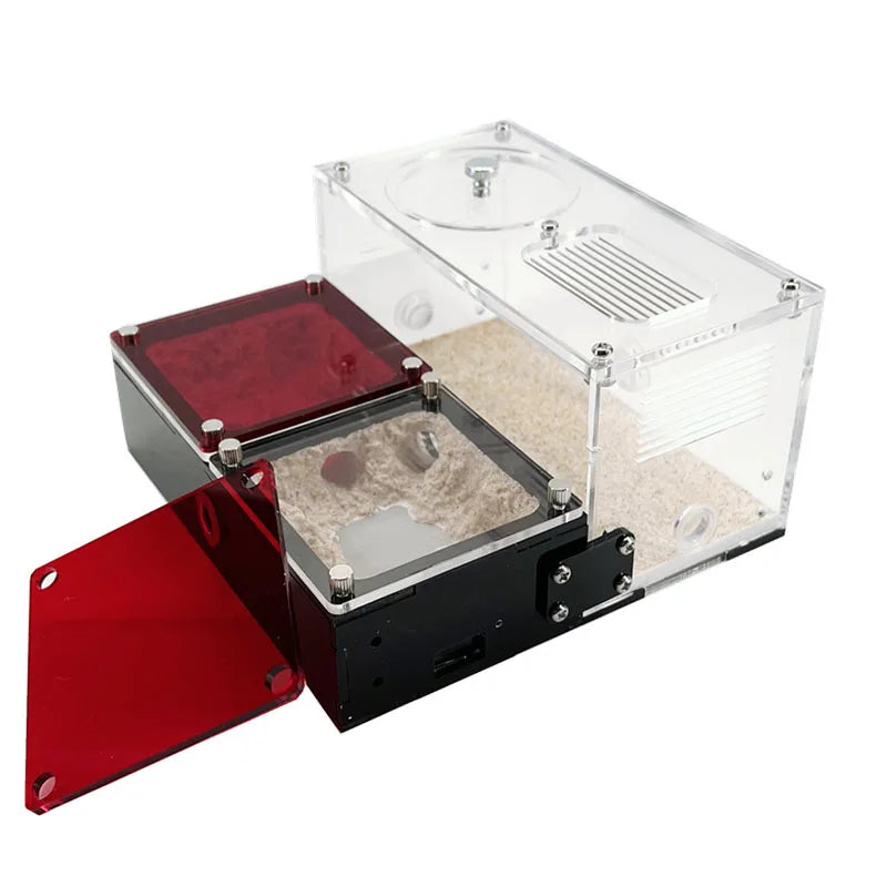 Ant farm foraging area connected to nest module via 12mm expansion port and vinyl tubing