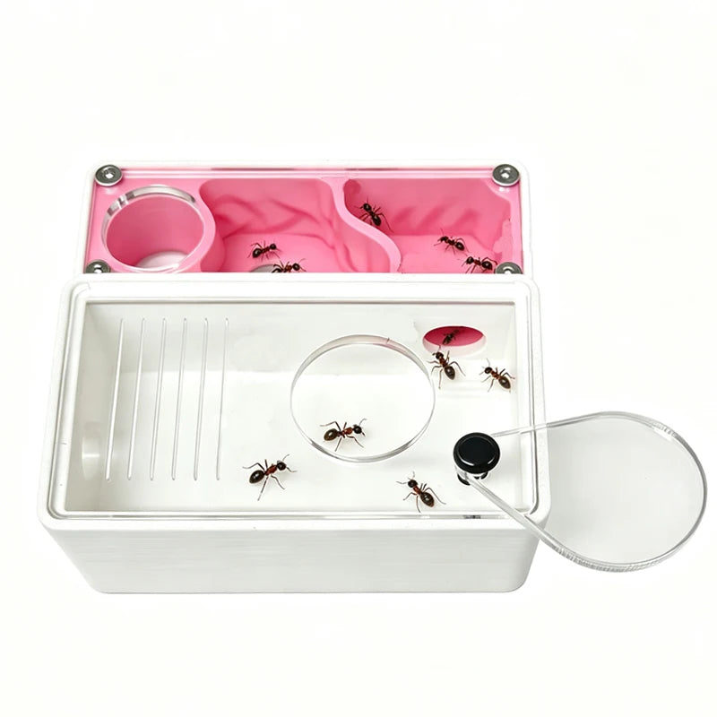 3D printed ant farm with protective film still applied, ready to ship