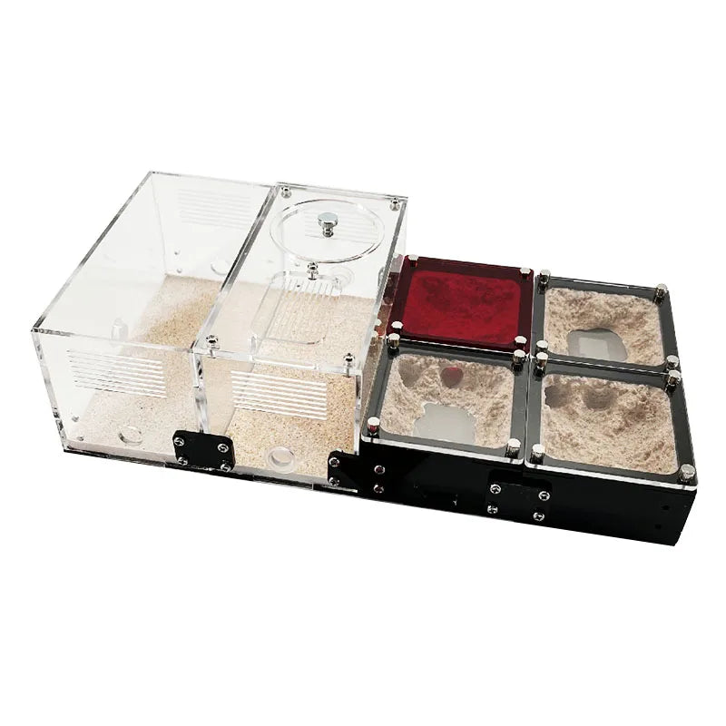 Top-down view of concrete ant farm nest chamber showing 12mm expansion port layout