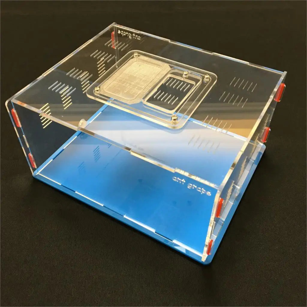 Ant Farm Grape Series XL Acrylic Nest - 5 Colors