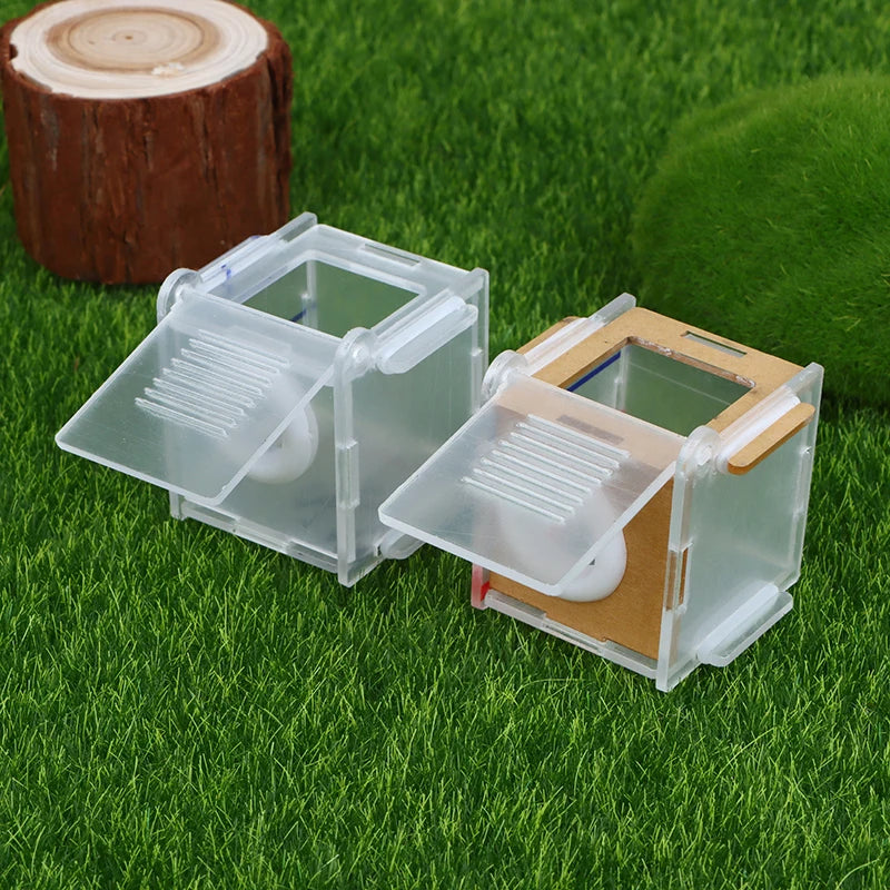 15mm acrylic test tube nest activity area showing 7x7cm foraging chamber dimensions