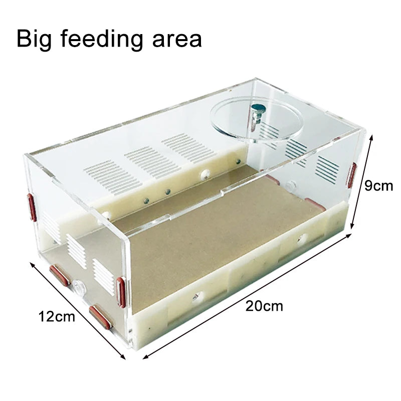 Modular Acrylic Ant Farm with Gypsum Nest + Water Tower