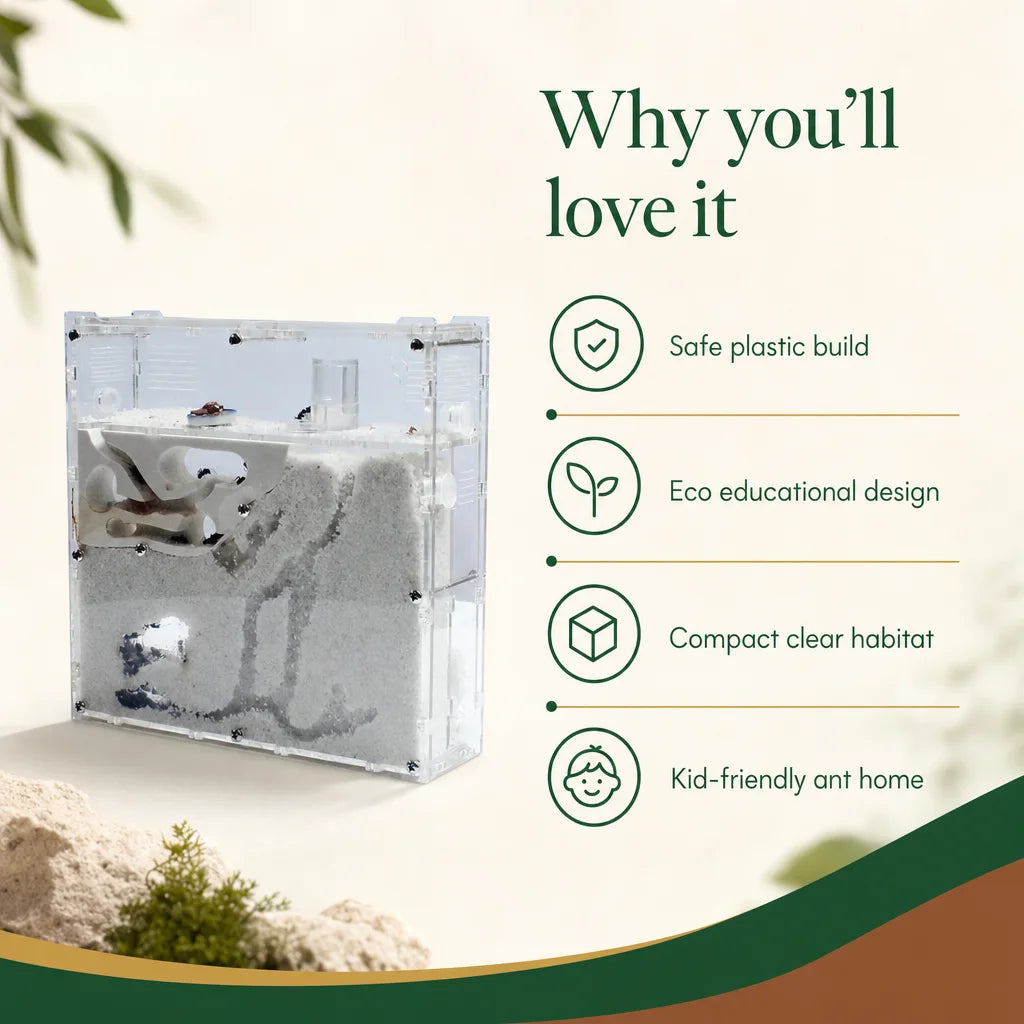 Ant Factory Ants House Castle Insects Terrarium Ant Cage Insects Box Nursery Ecological Kid Educational Tool S21 : benefices cles