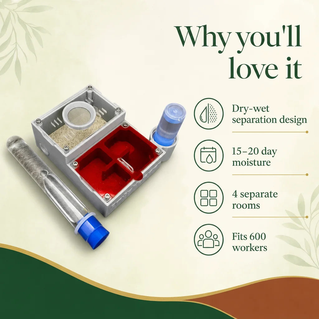 Key benefits of the AntsKeeper beginner ant farm: dry-wet barrier, dual moisture tubes, hard sand substrate