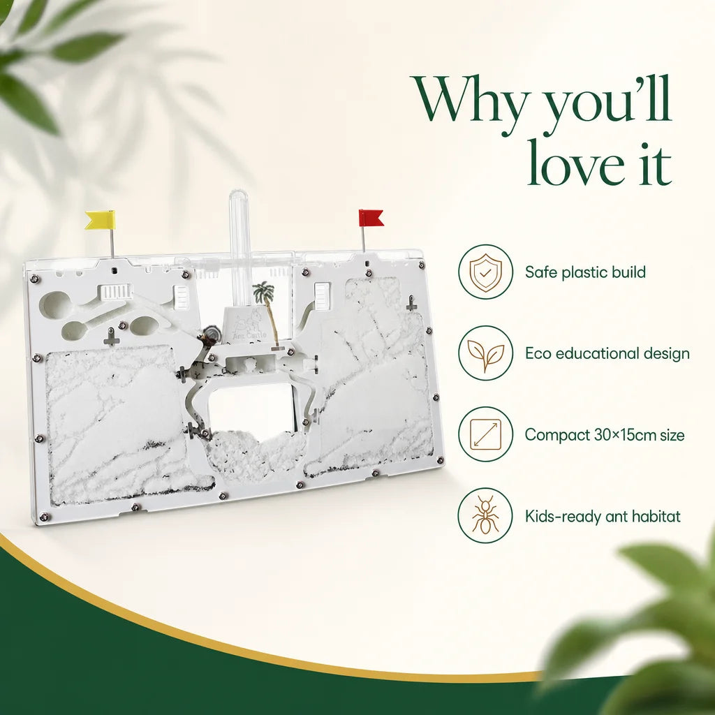 Ant farm terrarium castle design key benefits: clear panels, escape-resistant lid, educational