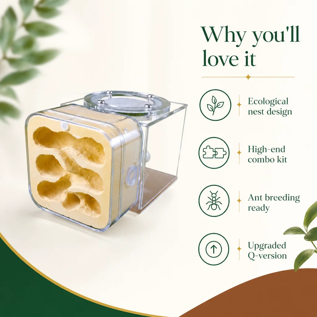 Key benefits of the ecological combination ant nest breeding workshop