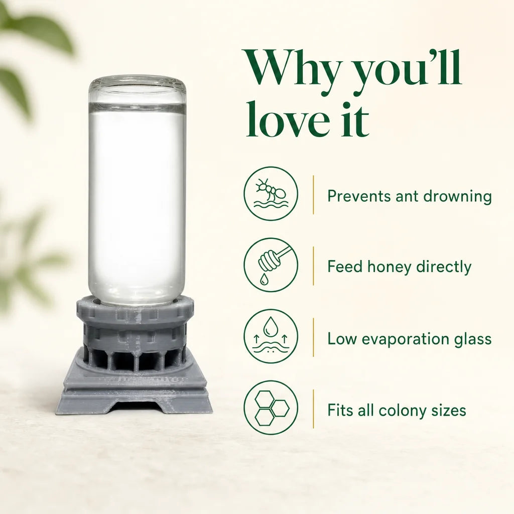 Key benefits of glass ant colony waterer: no drowning, low evaporation, honey-safe