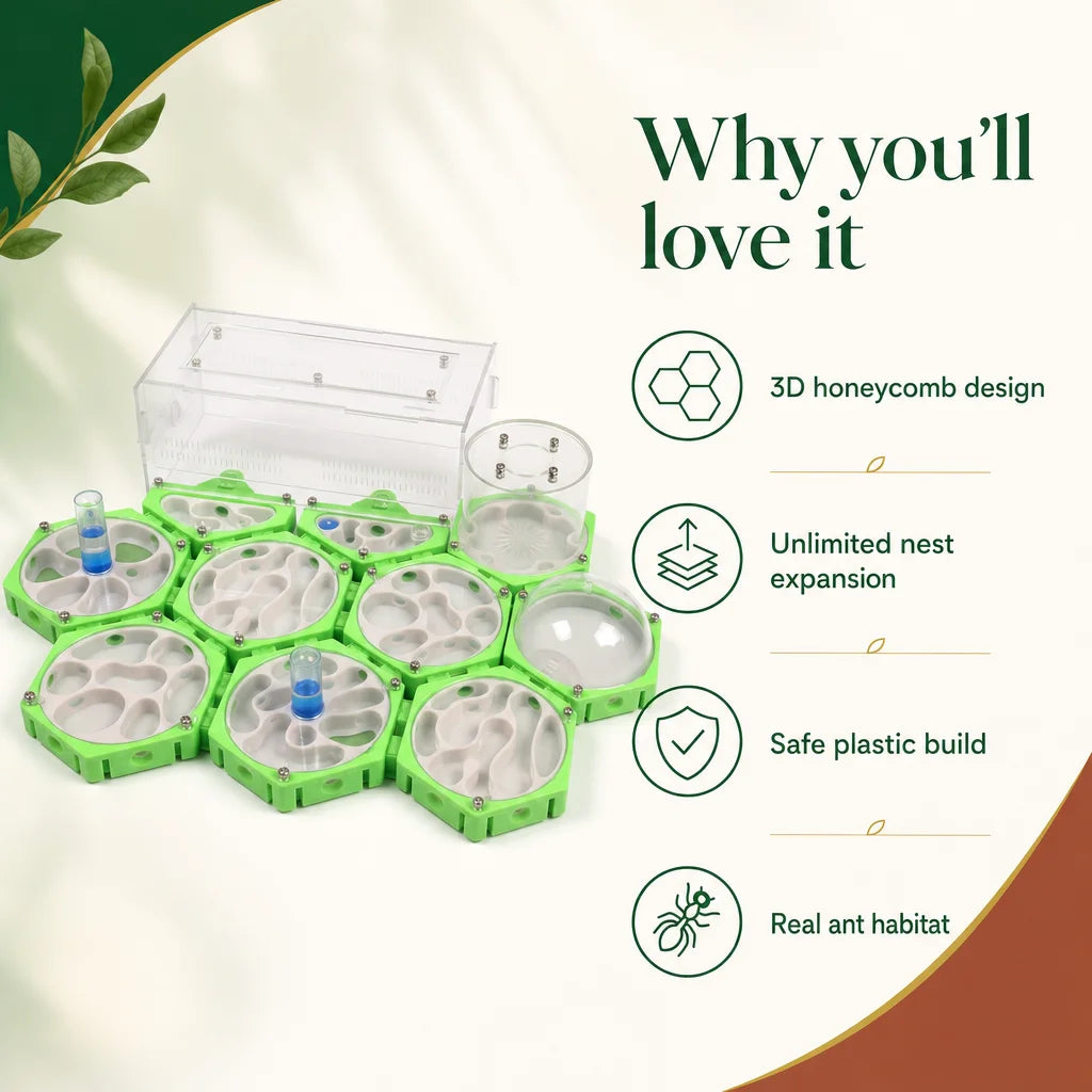 Key benefits of expandable ant farm nest: moisture port, transparent walls, snap-fit expansion