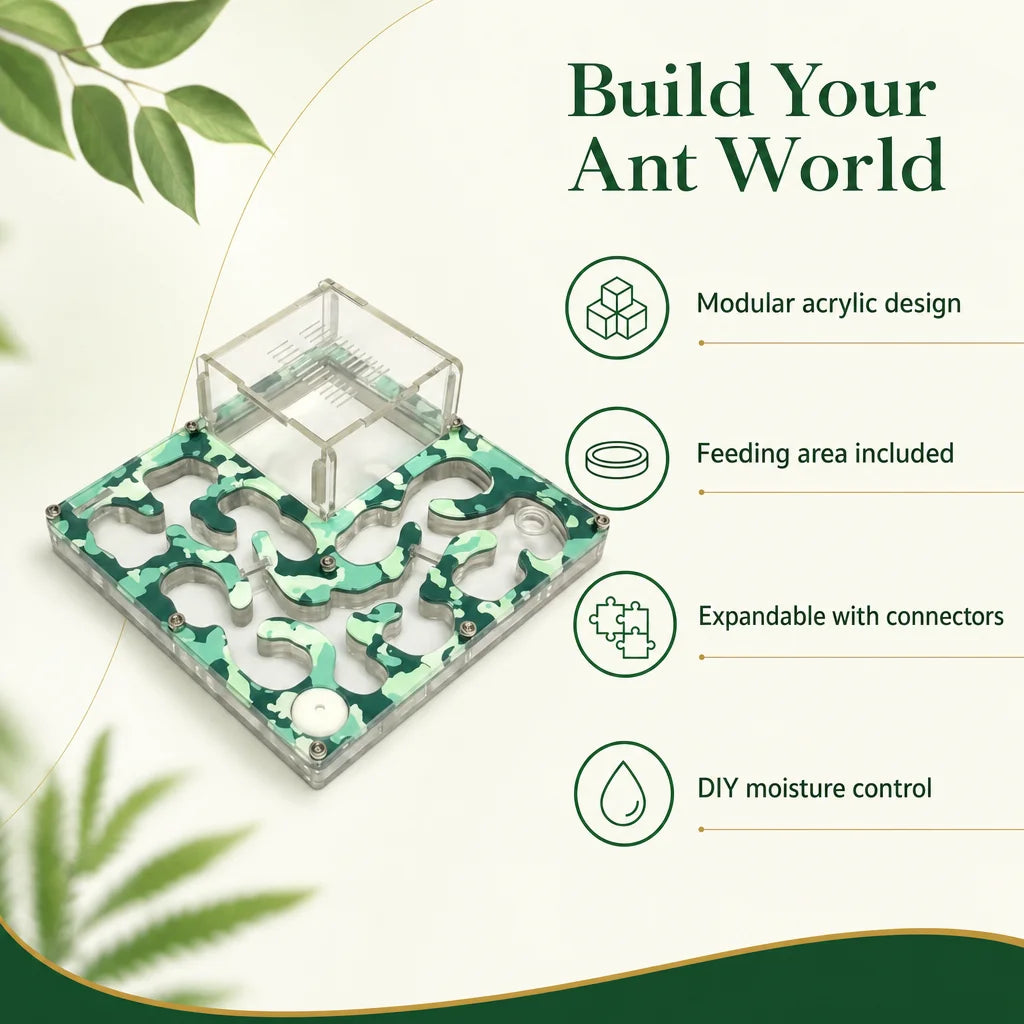 Key benefits of the colony-scale camouflage acrylic ant nest formicarium