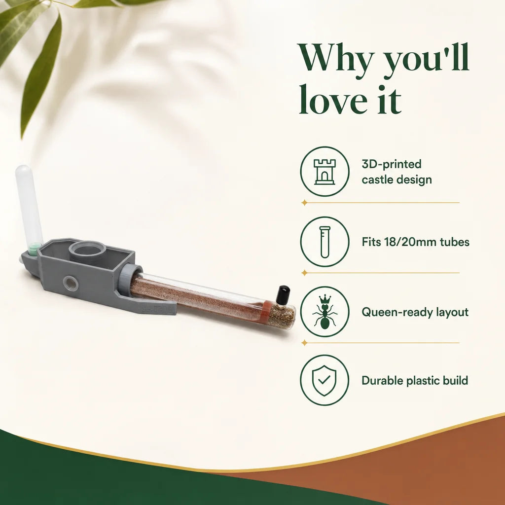 Sparrow 1 ant nest key benefits: humidity retention, multi-chamber layout, modular port