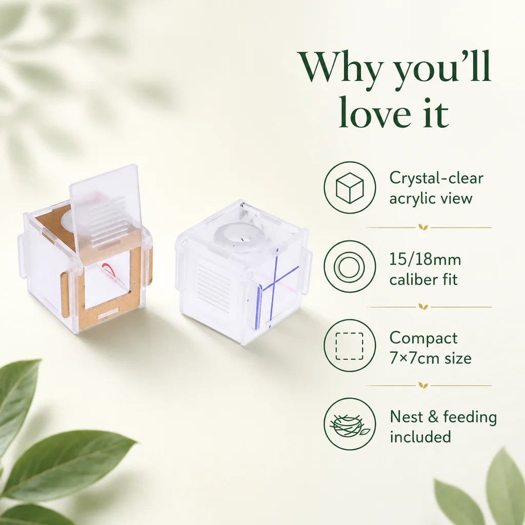 Key benefits of acrylic ant farm test tube nest: clarity, secure fit, chemical-free