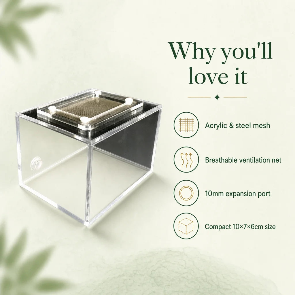 Key benefits of the acrylic ant foraging box: ventilation, expansion port, clear walls