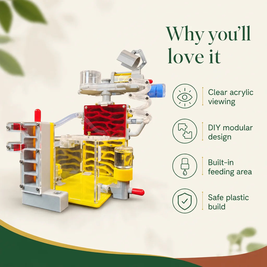 Key benefits of the acrylic ant nest villa: visibility, feeding zone, modular design