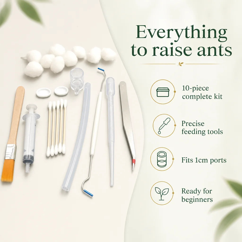 Key benefits of the ant farm tools kit: hydration control, safe feeding, gentle handling