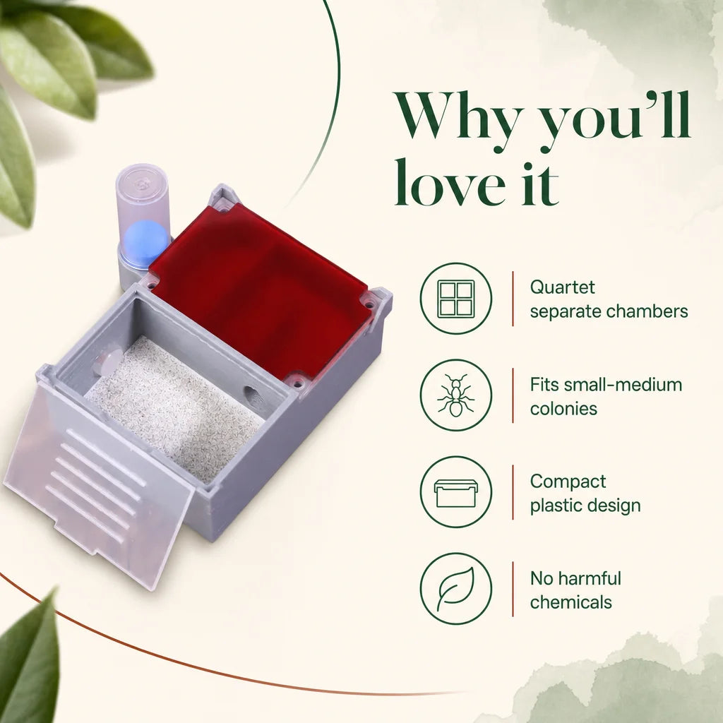Key benefits of the quartet ant farm: four chambers, compact size, chemical-free plastic