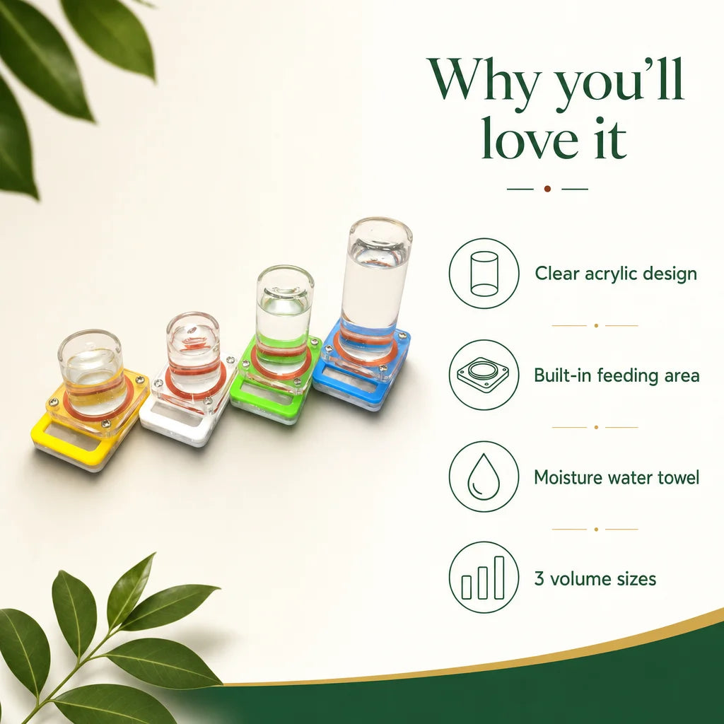 Key benefits of the ant farm water feeder: wick pad, stable base, three sizes