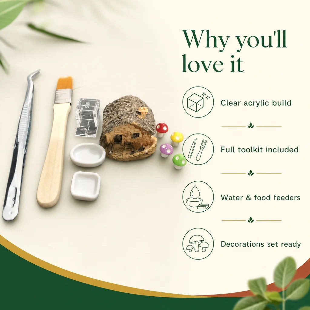 Key benefits of the ant farm feeding toolkit: feeder, tweezers and décor pieces