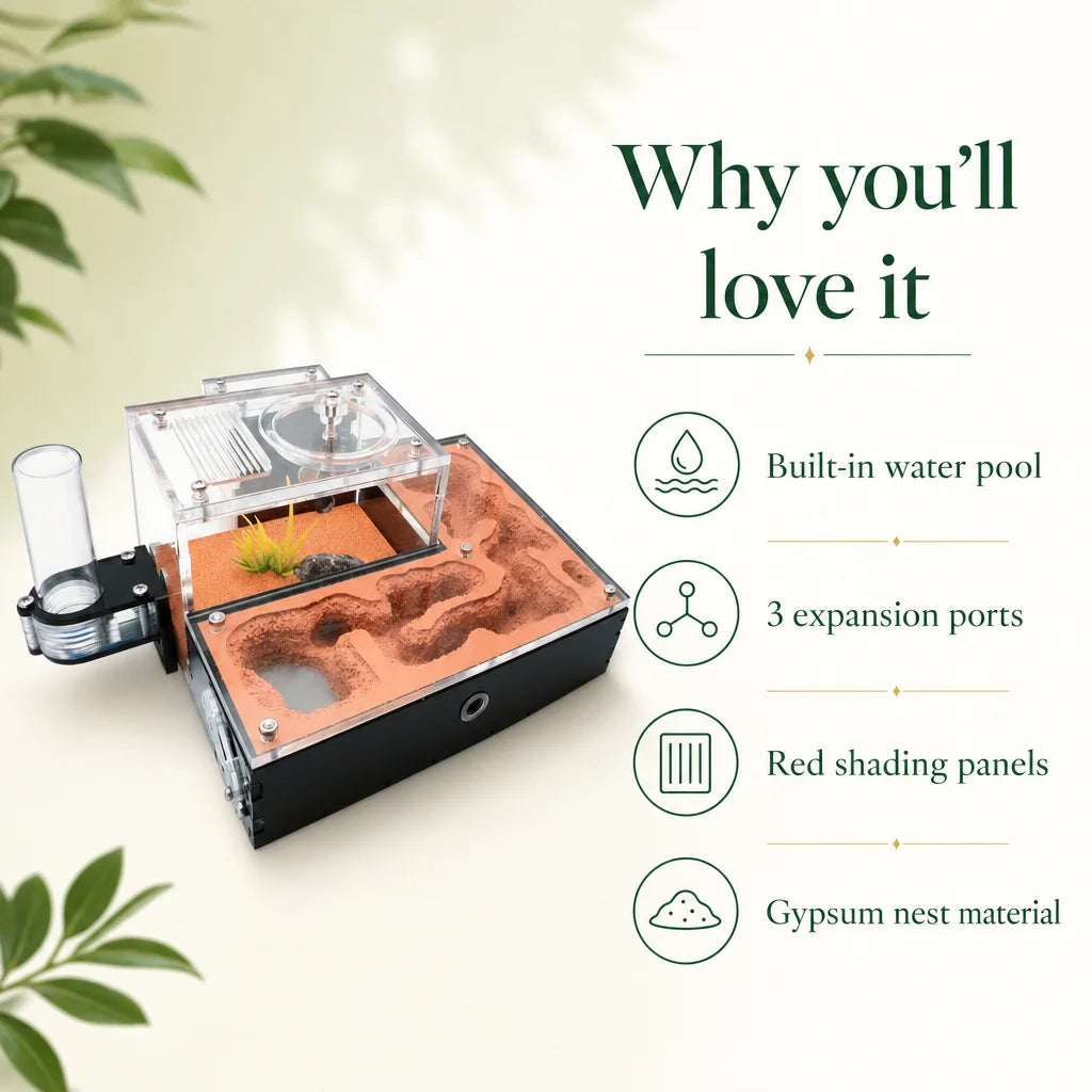 Key benefits of gypsum ant farm: passive humidity, expansion ports, colony-safe materials
