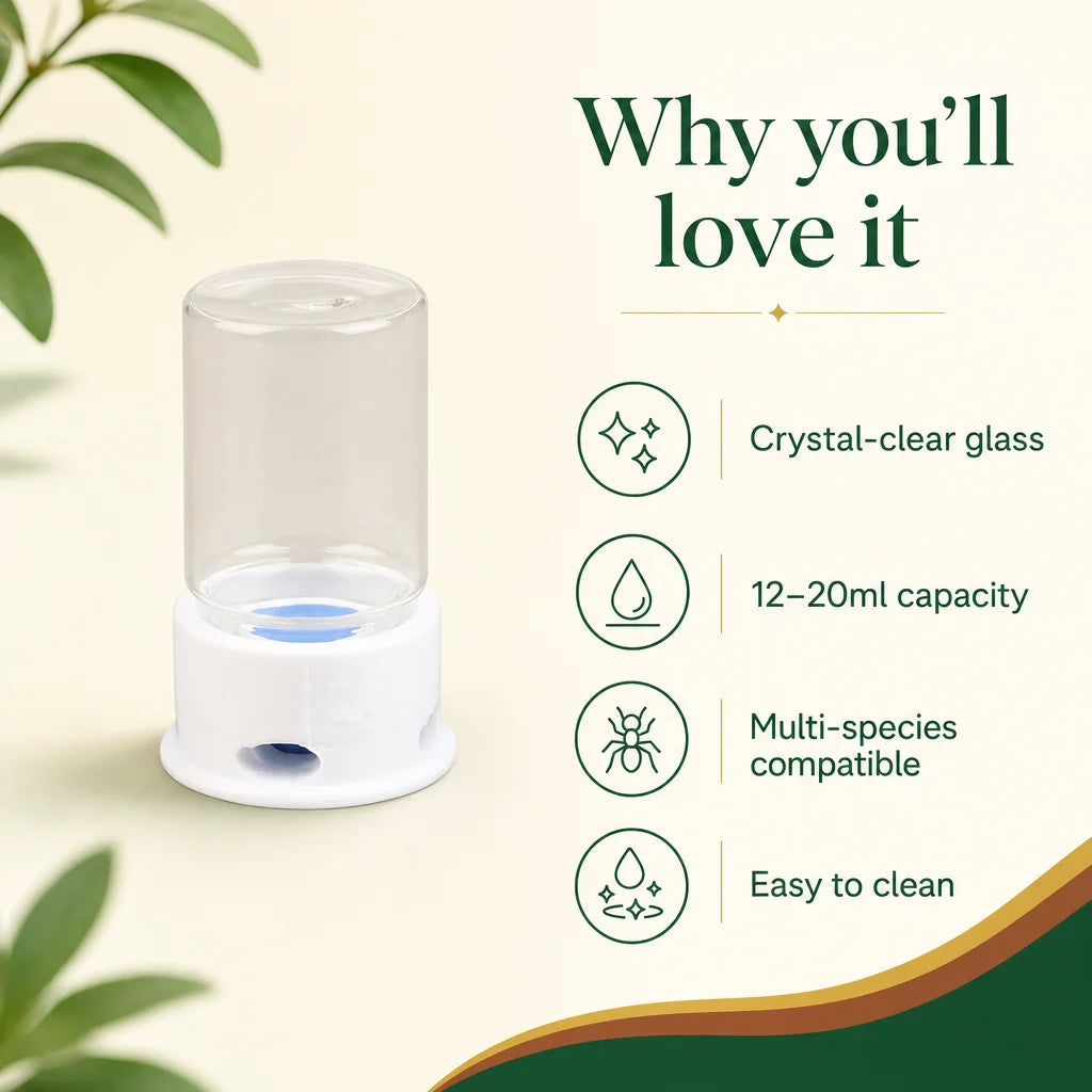 Key benefits of the glass ant water tower feeder: slow release, no drowning risk, clear visibility