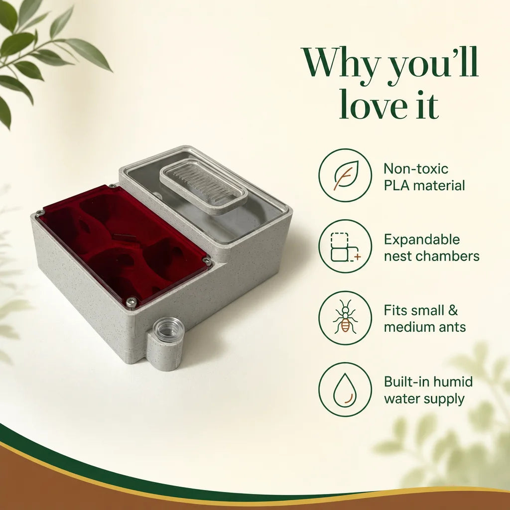 Key benefits of the EXOPETO queen ant formicarium: humidity supply, modular chambers, clear lid