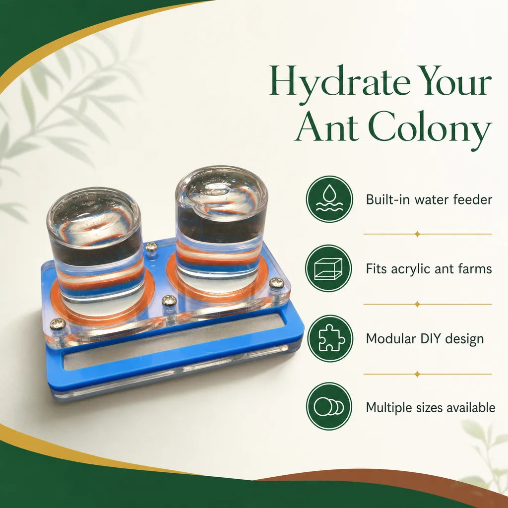 Key benefits of the dual tower ant farm water feeder: passive hydration, clear walls, modular tubing