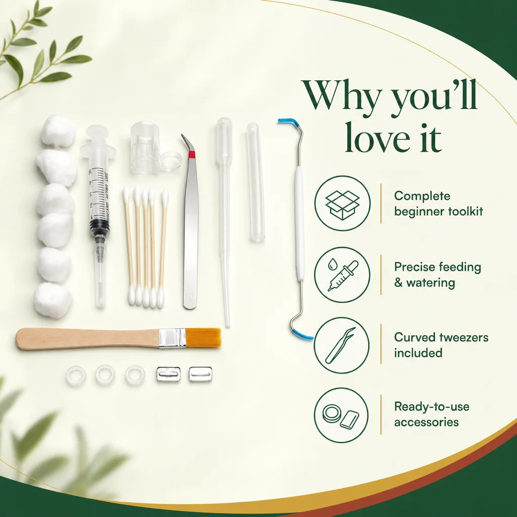 Ant farm toolkit benefits: precise water delivery, clean feeding trays, curved tweezers for acrylic nests