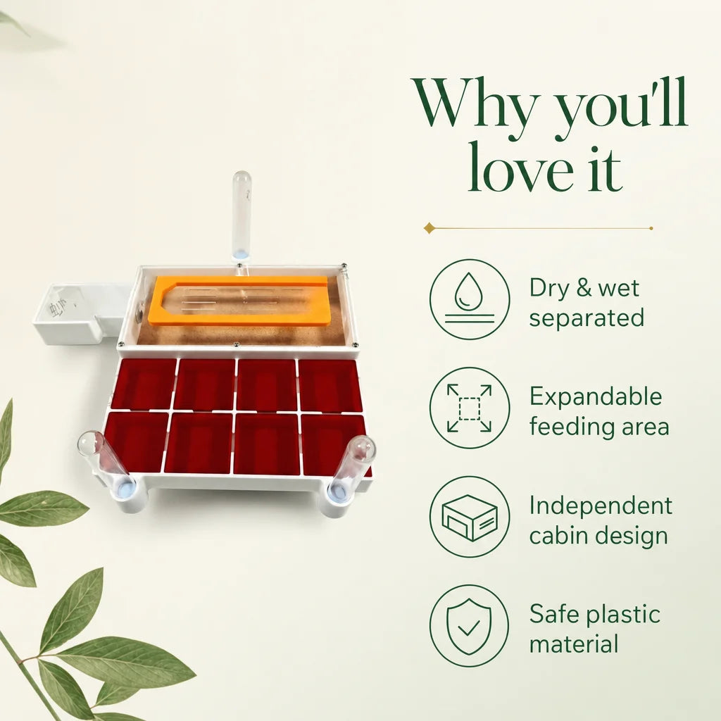 Key benefits of the LP08 expandable flat formicarium with independent cabin