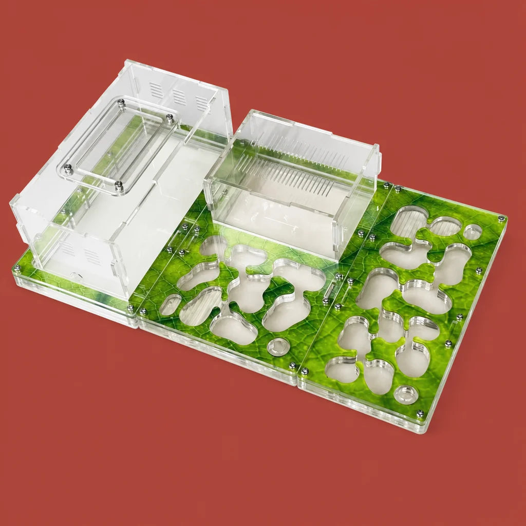 Modular ant farm formicarium with concrete nest and acrylic panels, Space A variant