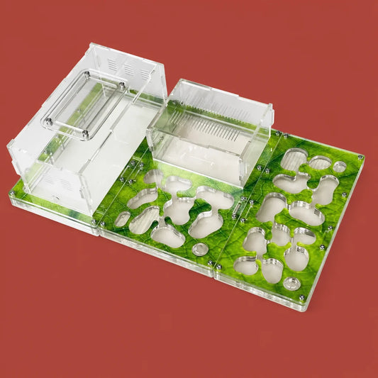 Modular ant farm formicarium with concrete nest and acrylic panels, Space A variant