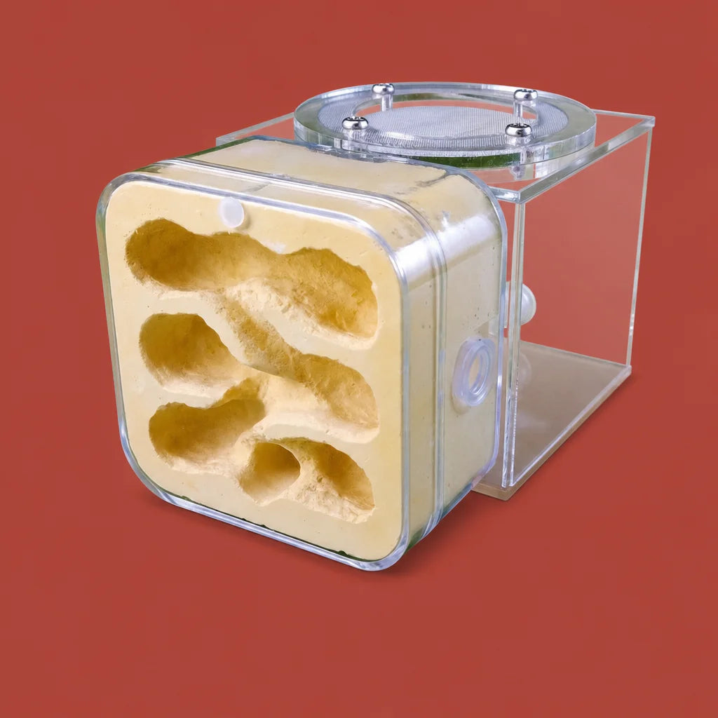 Modular ecological ant nest combination formicarium full kit packshot
