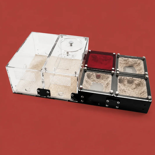 Concrete expandable ant farm formicarium with hunting area and water tower, front view