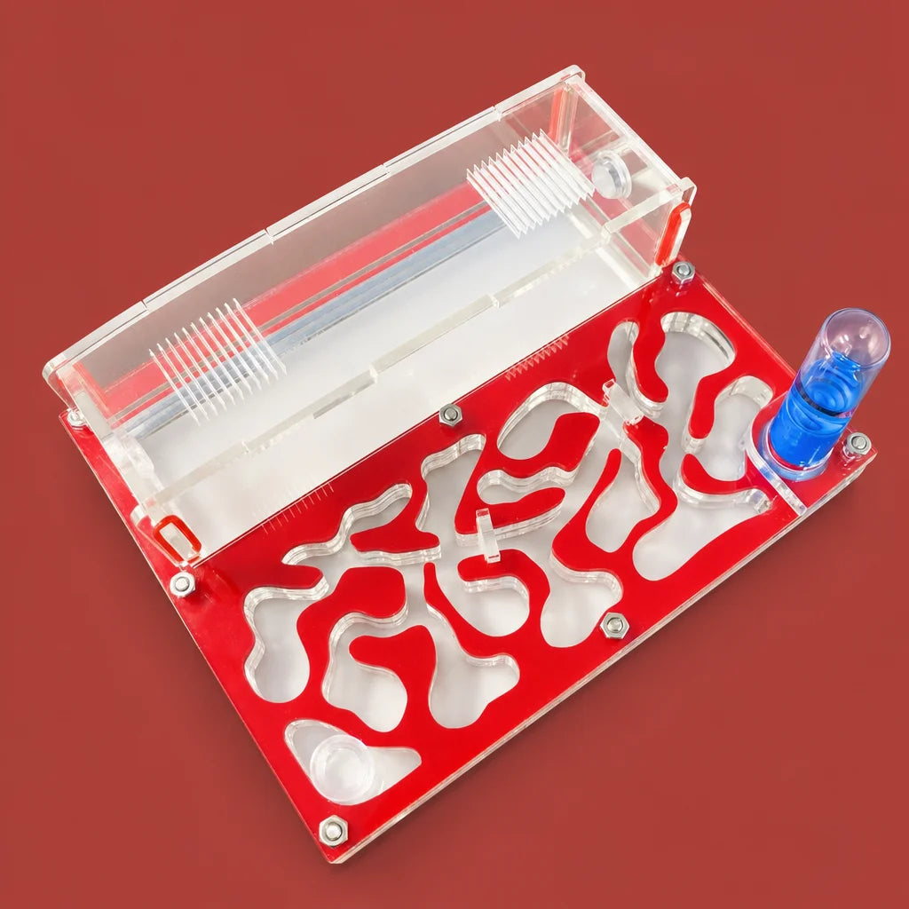 150x110mm acrylic ant farm with test tube moisture nest, front view