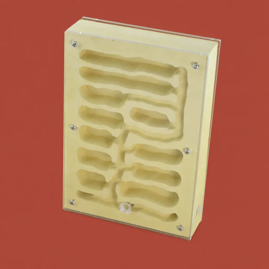 Dual-purpose ecological gypsum ant nest 203x141x43mm improved version, front view showing dual-chamber layout