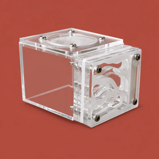 Acrylic mini 3D ant nest front view showing clear gallery channels
