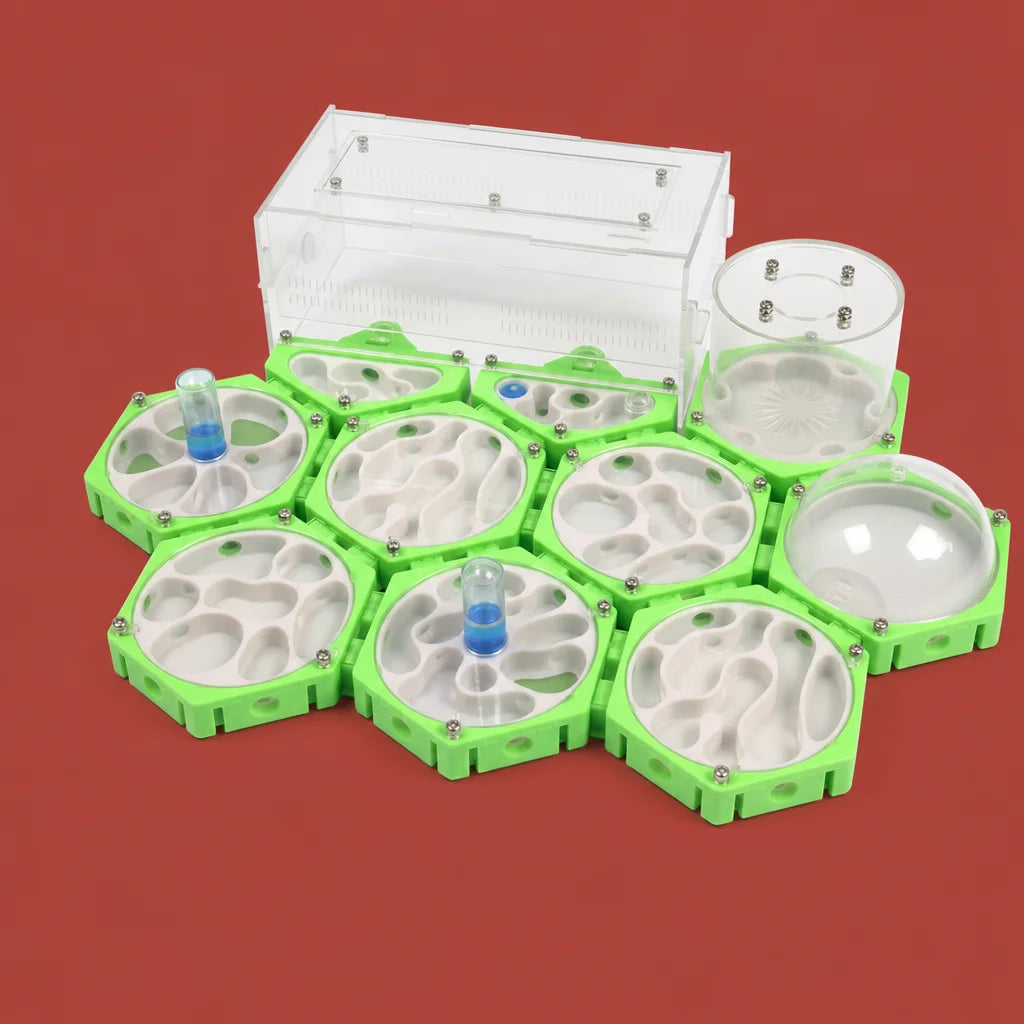3D modular ant farm honeycomb nest full setup, 5 snap-fit modules