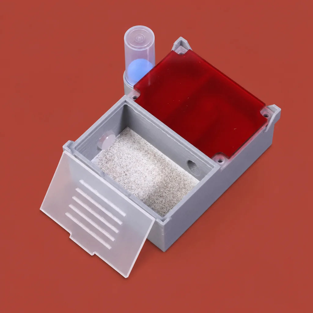 Quartet layout ant farm with four separate chambers, front view, transparent plastic, 8x7.7x3.3 cm